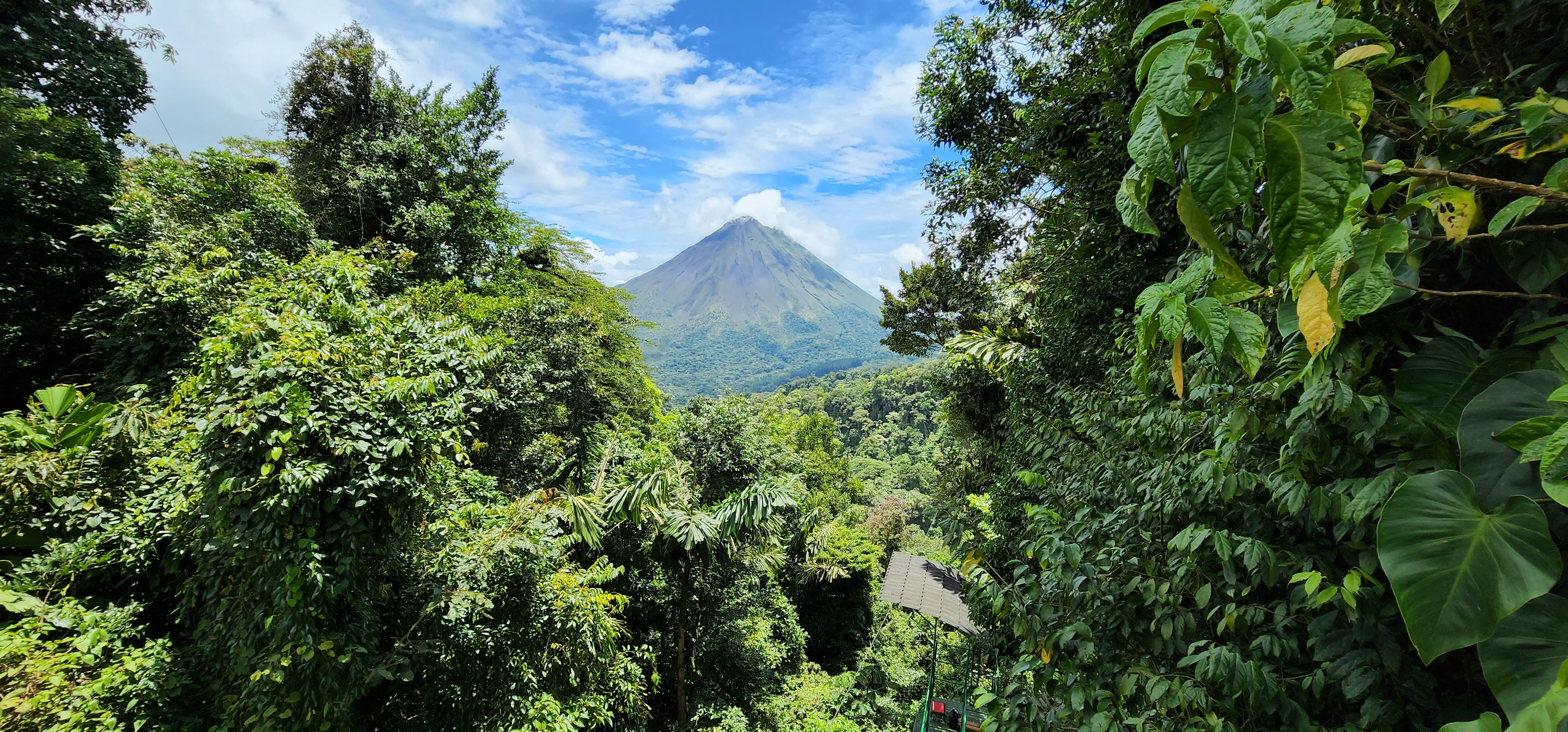 A distant volcano is framed by dense tropical trees and lush green foliage