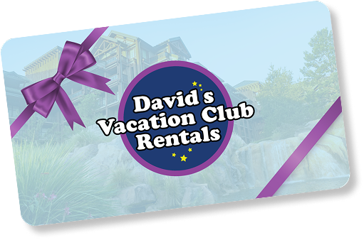 David's Vacation Club Rentals e-gift card with a purple ribbon and castle background